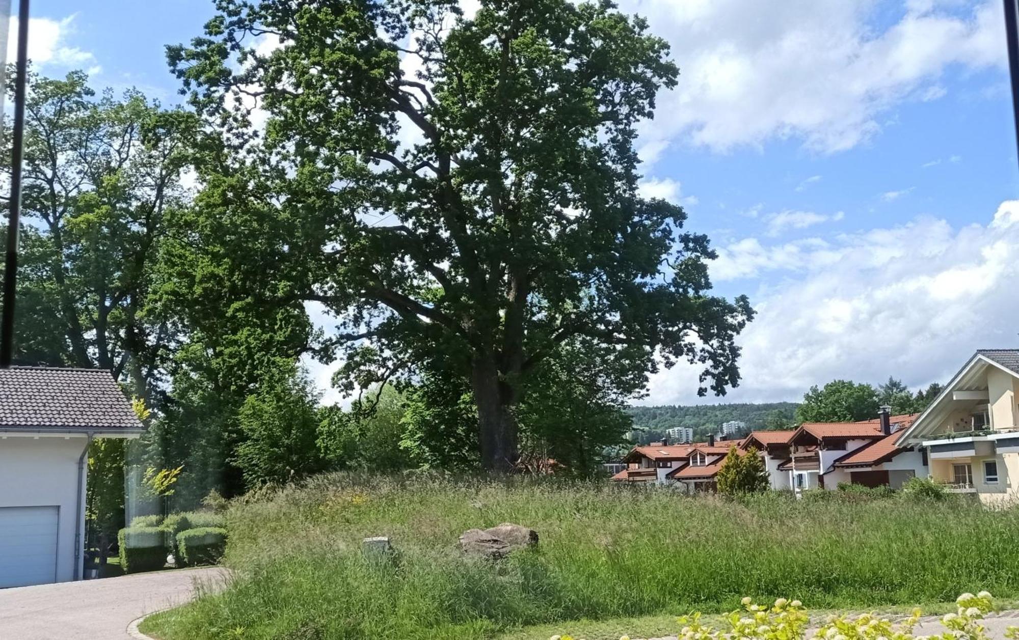 Ferienwohnung Hirtenbichel Immenstadt im Allgaeu Exterior photo
